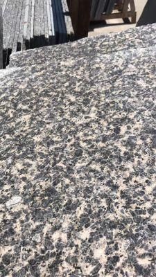 China Top Brown Granite/Leopard Brown Granite/Brown Granite for Floor/Background