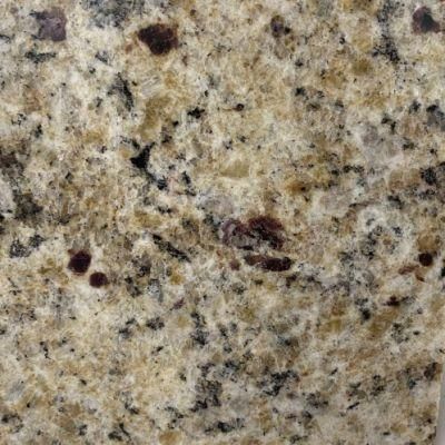 Dark Santa Cecilia Granite, Spray White Grantie Slab for Wall/Stair/Countertop