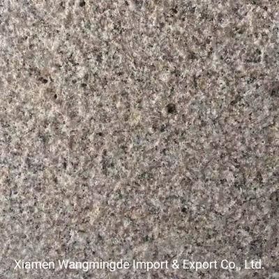 Hot Sale and Natural Granite for Tile/Slabs /Countertop