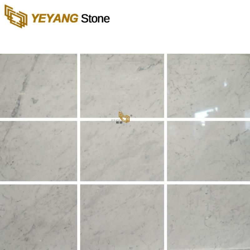 Polished 80cm X 80cm Italian Calacatta White Marble for Flooring/Wall/Tiles