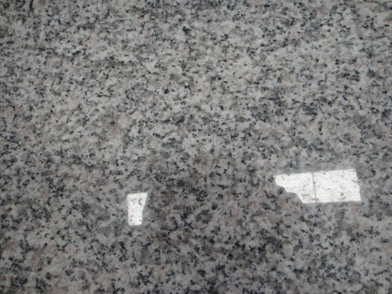 Most Popular Vanity Top Natural Granite Bianco Sardo G623 Factory Price Big Slabs Countertop