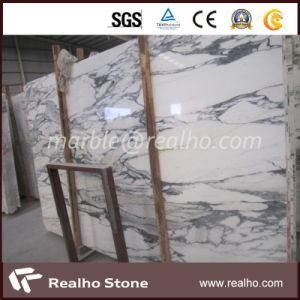Imported Italy Polished White Arabescato Marble Slabs for Flooring/Wall/Countertops/Vanity Tops