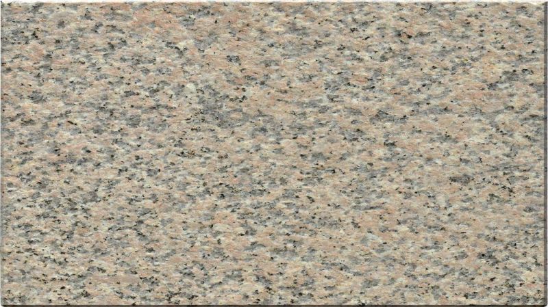 Nero Santiago Wall Decorative Price Per Square Meter of Granite