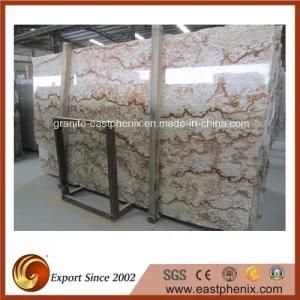 Imported Brazil Verniz Tropical Granite Slab for Kitchen Worktops