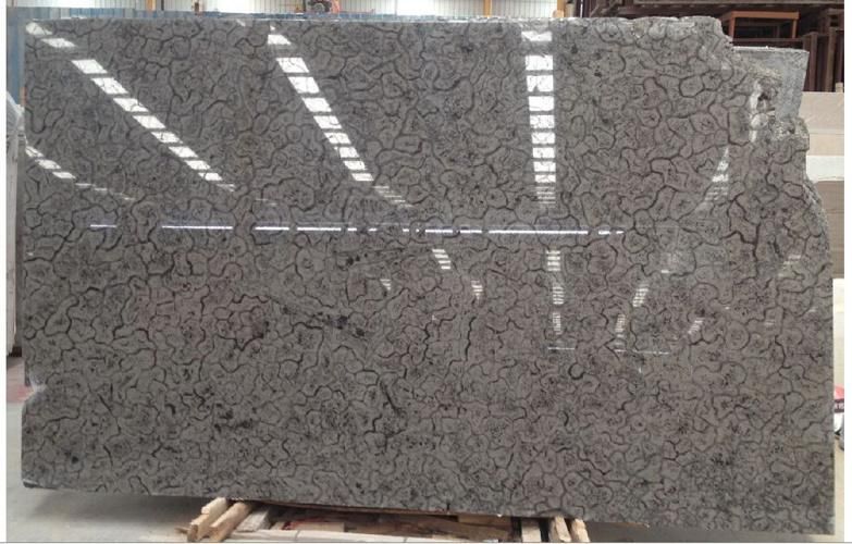 China Top Black Granite/Oracle Granite/Black Granite for Floor/Background