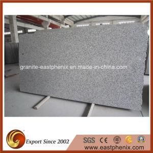 Wholesale Polished Surface Granite G439 Slab