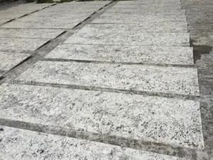 High Quality Natural Stone Galaxy White Granite for Counter Tops/ Vanity Tops