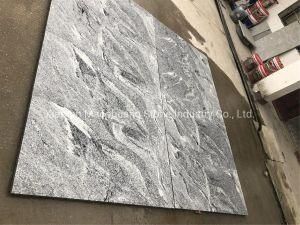 China Natural Stone Juparana Granite for Wall/Floor/Tiles/Slabs