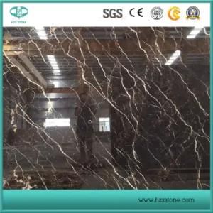 Professional Supplier of St. Laurent/Emperador/Cindy Grey/Nero Marquina Marble Slabs