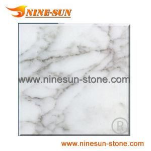 Polished Snow Flake White Marble (YX-M162)