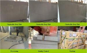 Shay Grey Marble, Cinderella Grey Marble, Grey Marble Stair