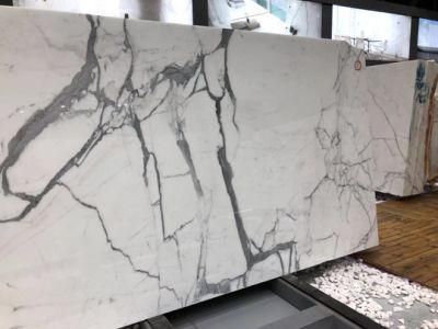 Luxury Italian White Marble Panel Interior Kitchen/Bathroom/Lobby Floor Wall Tile