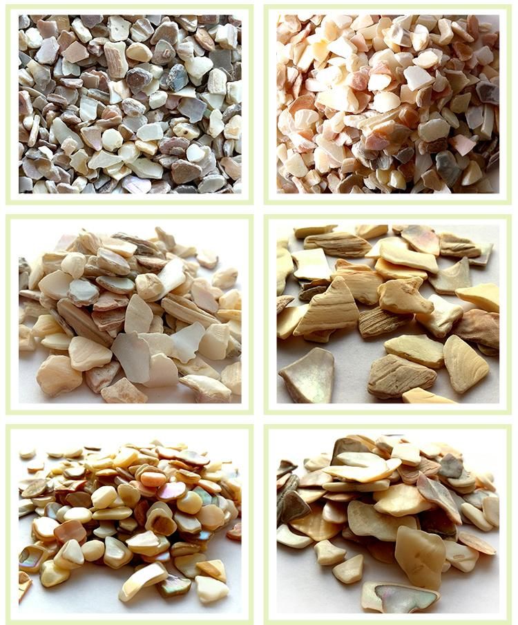 Crushed Natural Shell Debris for Concrete Terrazzo Engineered Stone Decoration