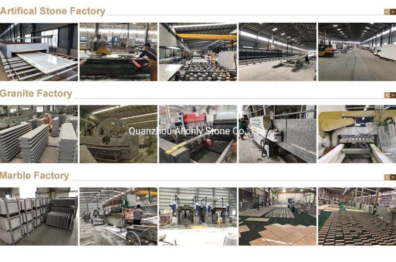 Wholesale Brazil New Venetion Gold Granite Countertop Pricing for Kitchen
