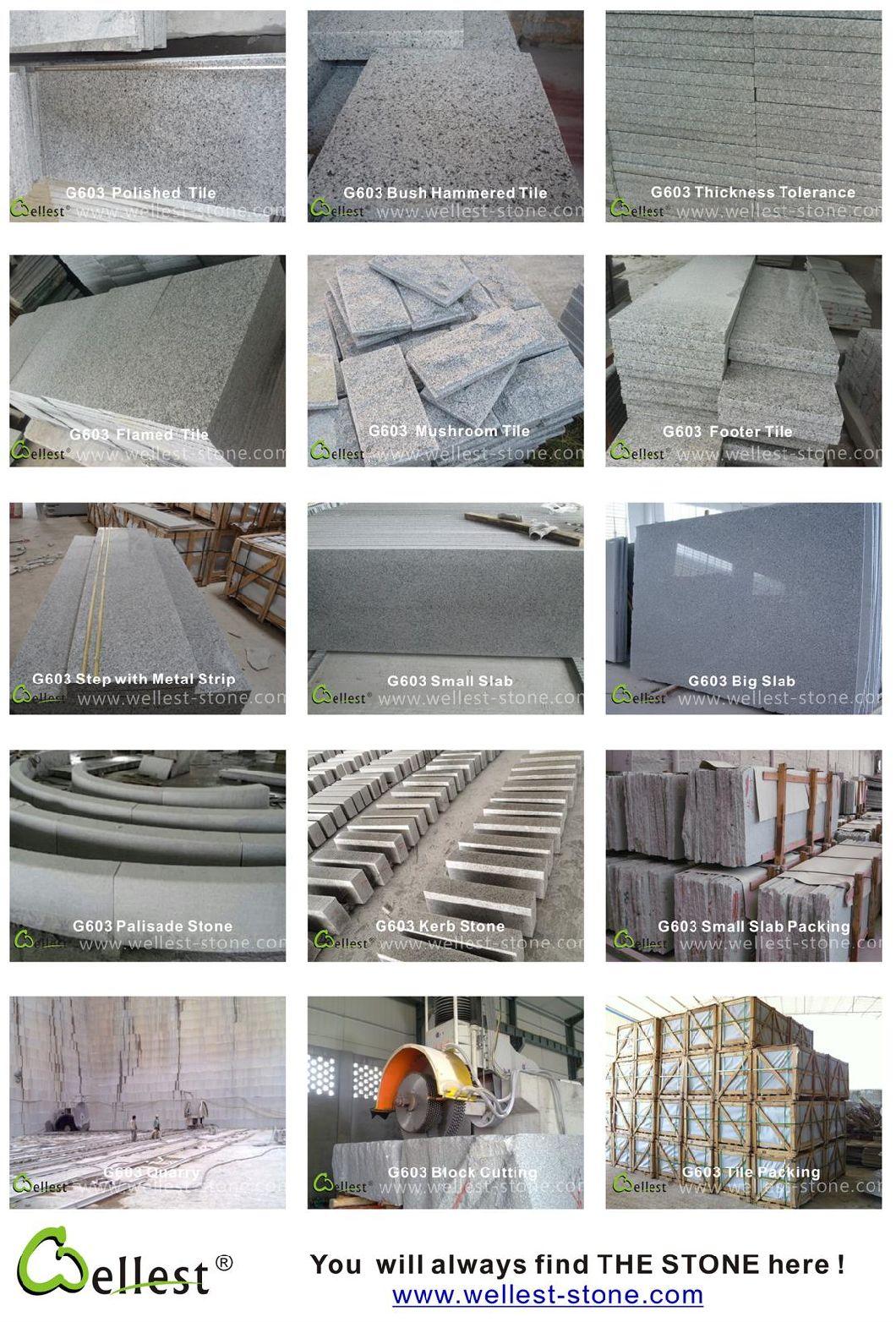 G603 White Pearl Grey Granite Tiles/Slabs/Pavers/Kerbstone/Quoins/Cills Building Stone