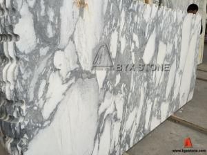 Arabescato Corchia Chinese White Marble Slab for Indoor Decoration