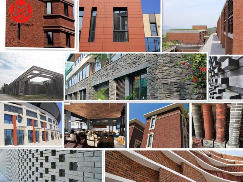 Natural Surfaced Champagne Yellow and Environmental Protection Terracotta Facade Panels for Commercial Buildings