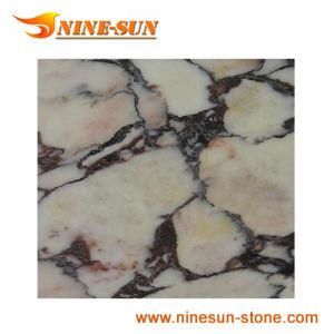 Polished Calacatta Viola Marble (YX-M519)