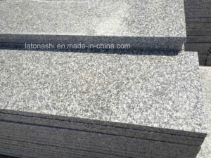 Grey Granite G623 Rosa Beta Slab for Paving