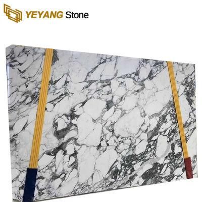 Natural Stone Carrara White Marble for Background/Bathroom/Countertop