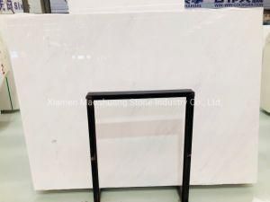 Aristons Venus Marble Polished Greece Popular White Marble Slab