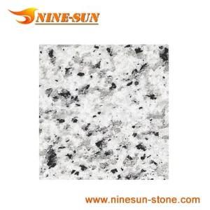 Saudi Bianco Granite (YX-G873)