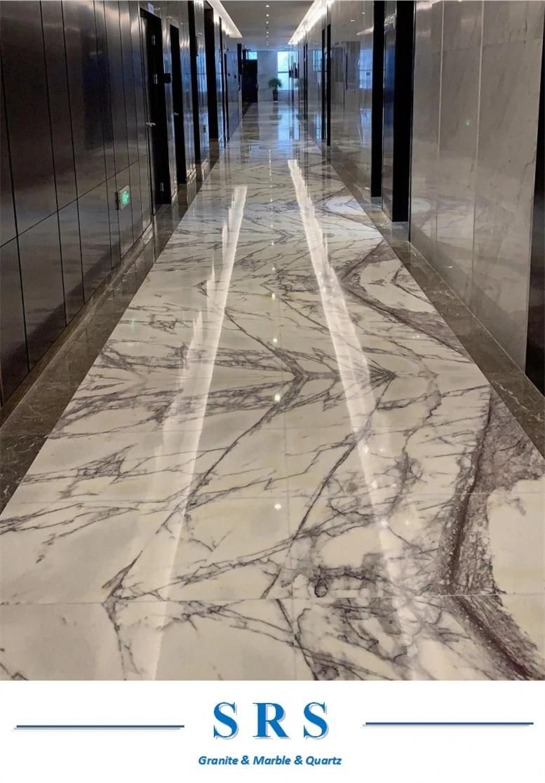 Natural Stone Milas Lilac Polished White Marble Slab/Tile/Top