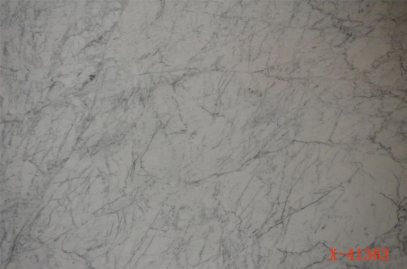 Snow White Marble Slabs, Marble Countertops, Marble Tiles and Marble