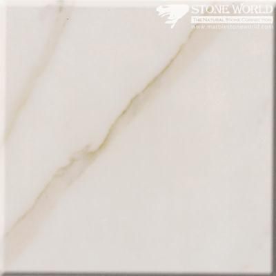 Polished Calacatta Grey Marble Slabs for Flooring &amp; Wall (MT093)