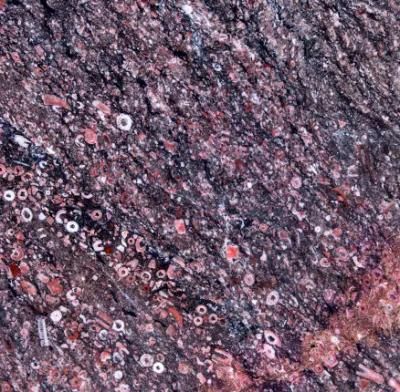 New Product Ocean Red 24 X 24 Marble Tile