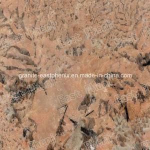 Four Seasons Granite Tile for Wall Tile