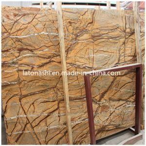 Indian Rain Forest Brown Marble Tile and Slab for Flooring