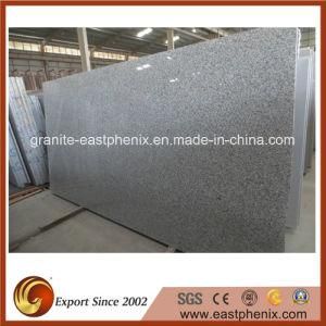 Natural G602 Grey Granite for Paving/Wall Cladding/Flooring