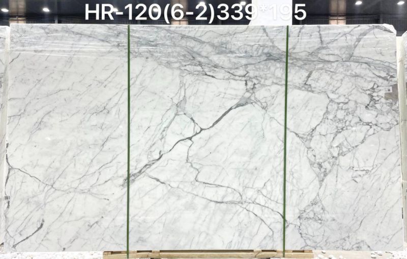 Nautral White Marble Calaeatta Slab Tiles Table
