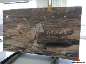 Fossil Quartzite Slabs for Wall Decoration