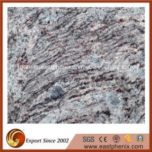 Imported Lawman Blue Granite Exterior Floor/Wall Tile
