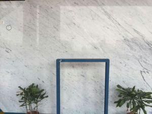 Imported Marble Bianco Carrara for Countertops and Building Materials