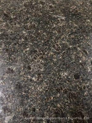 Black Granite with High Cost Performance for Countertops and Decorations