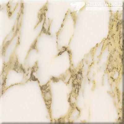 Polished Arabescato Carrara Marble Slabs for Flooring &amp; Wall (MT087)