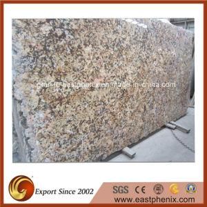 Brazil Delicatus Gold Granite Big Slab