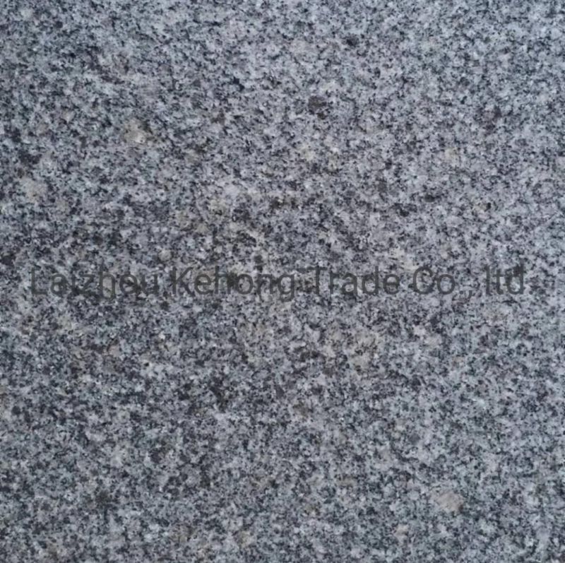 a Large Number of Wholesale Chinese Grey Natural Granite Building Plate Stone G3654