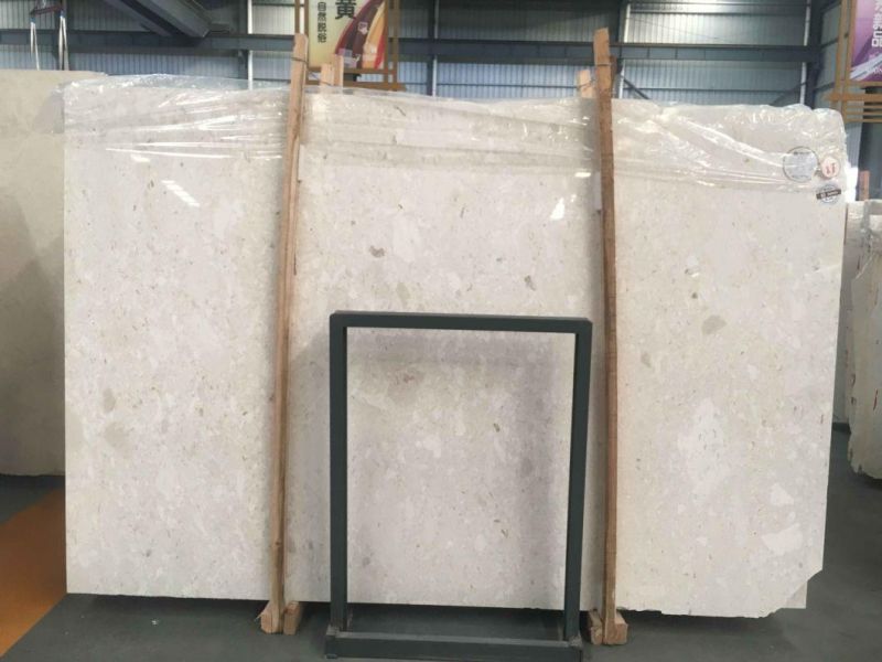 Popular Natural Tomorri White Pearl Marble Slab and Tile for Hotel Wall Floor Decorate