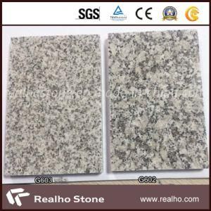 Leo White G602 Grey Granite with Own Quarry