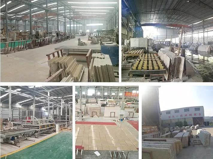 White Polished Marble Slabs for Flooring Tiles/Vanity Top