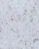 mm816 Golden Onyx 12mm Thickness Pure Acrylic Countertop for Kitchen