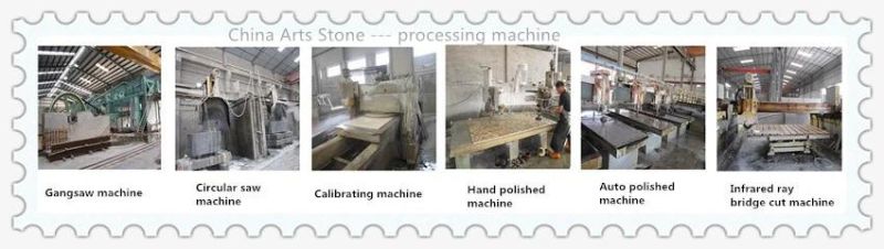 China Tiger Skin White Granite Countertop for Kitchen and Tile