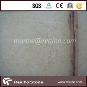 Noble Golden Beige Stone Selvia Marble for Floor/Wall