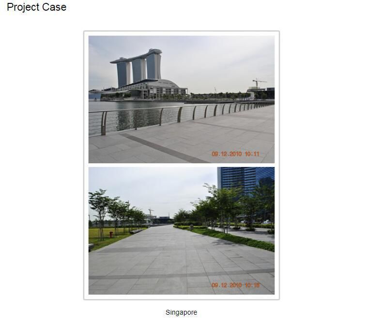 China Factory Price Natural Granite Stairs Steps High Quality Building Materials