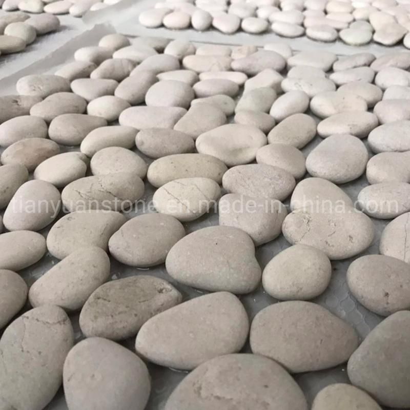 Meshed Pebble Stone for Garden Decorate