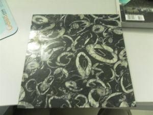 Seashell Flower Slab for Countertops and Building Materials